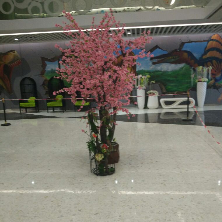 大番茄小番茄呢