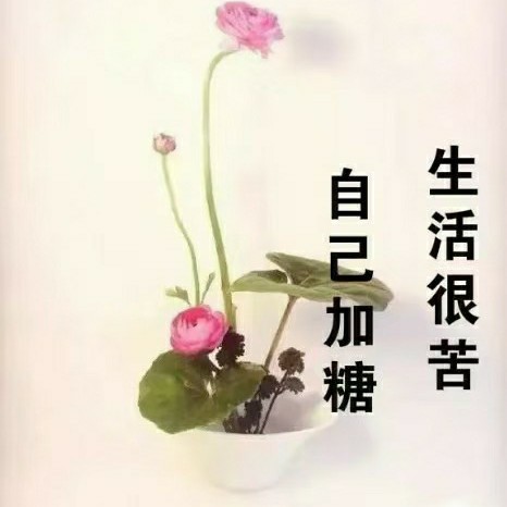 全年无休家中无矿