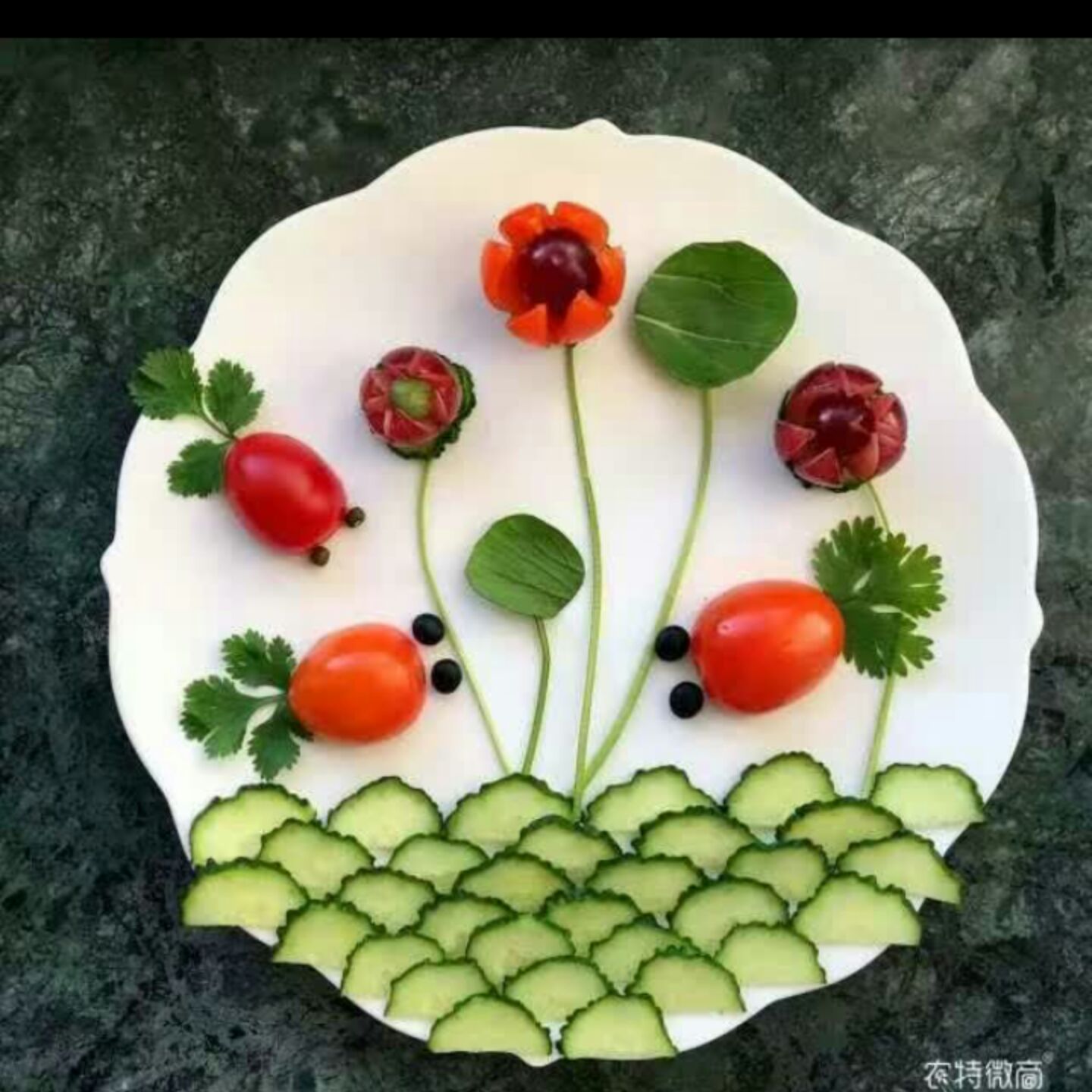 自由自在多好TuT