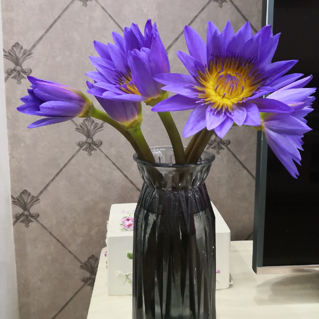 用户_云淡风轻23761