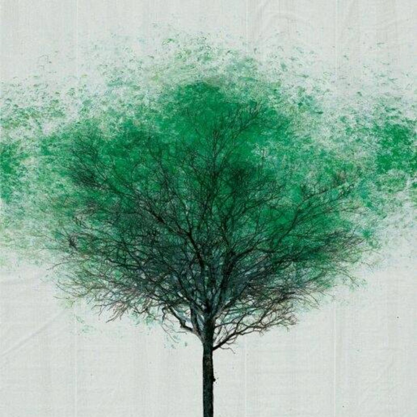 暖洋洋的小鱼儿