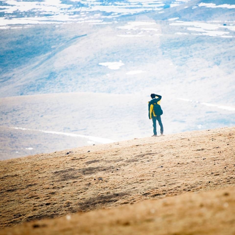 抱紧萝卜的兔子精