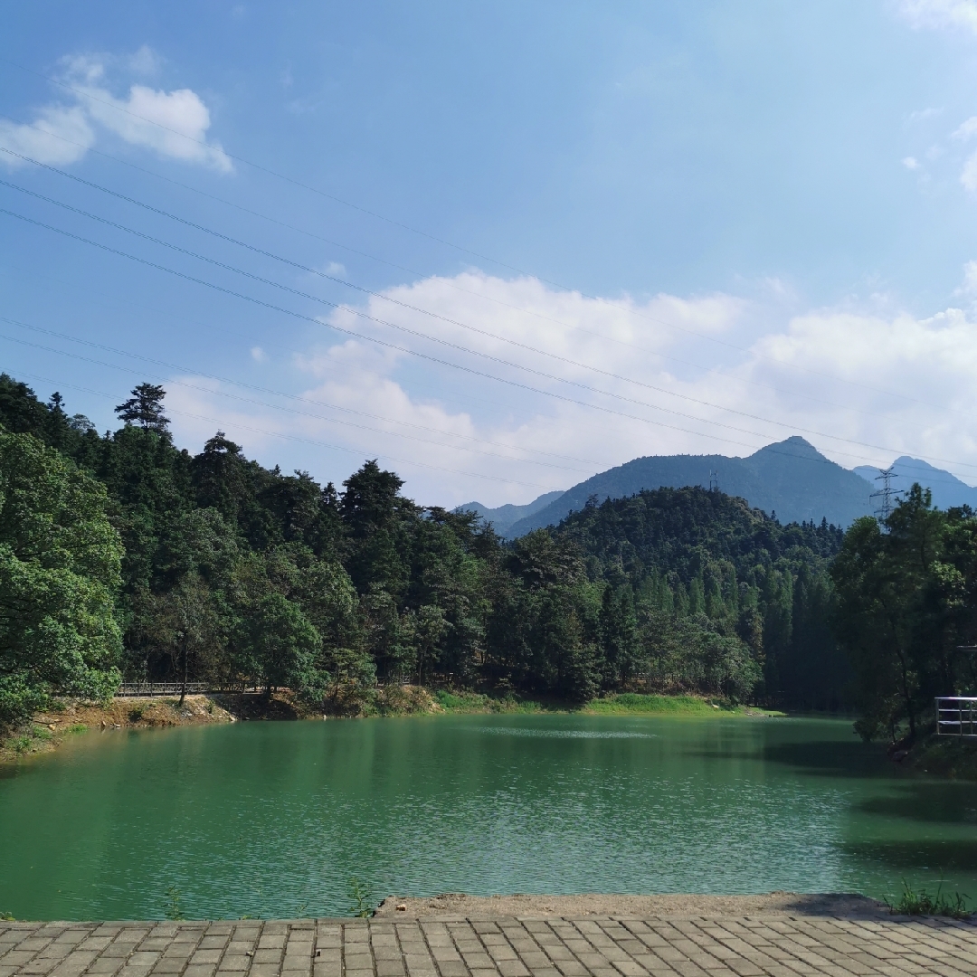 风之小铃很开心