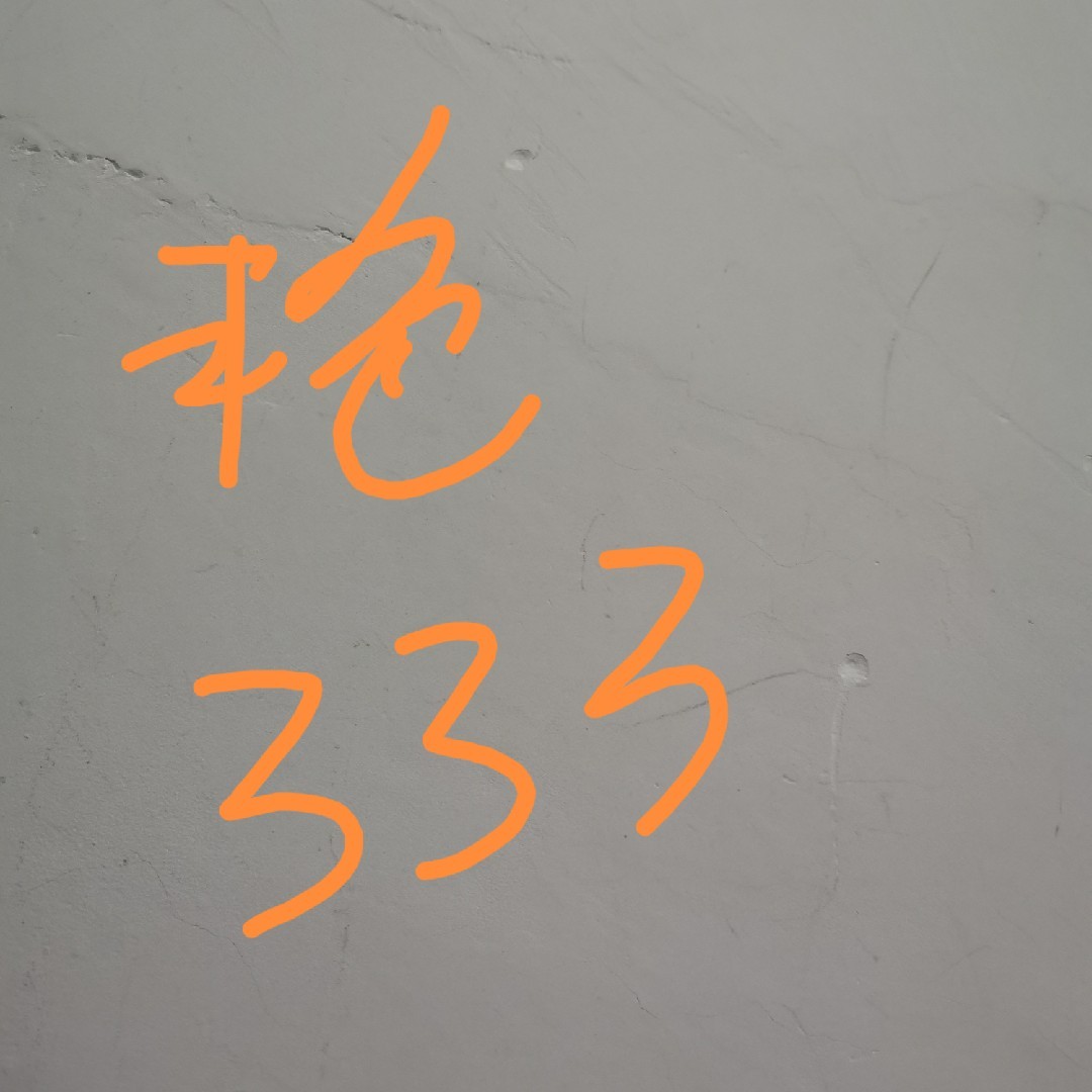 爱吃东北炉果的图图