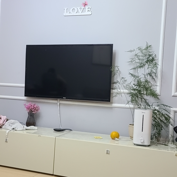 爱吃排骨寿司的梦想者