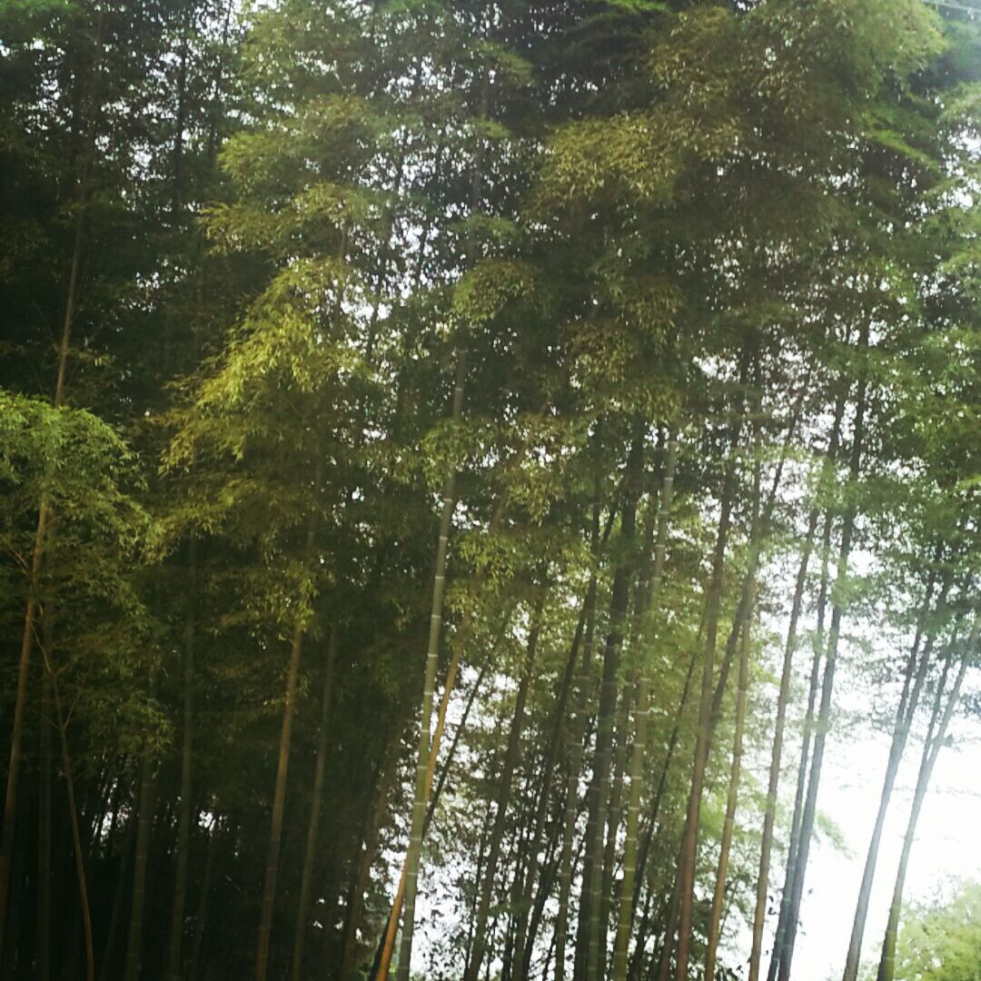 人生如过客匆匆