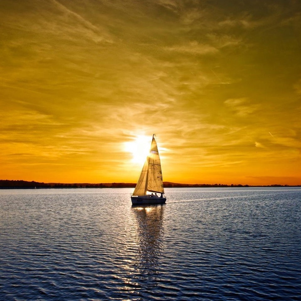 春熙路诚恳的灯草