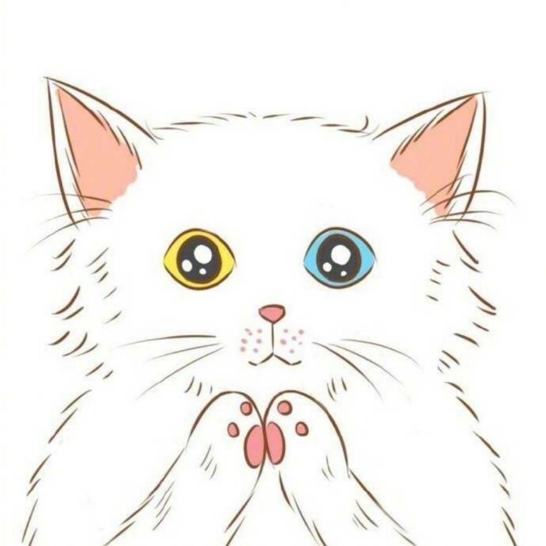 爱吃豆浆冷面的水果糖