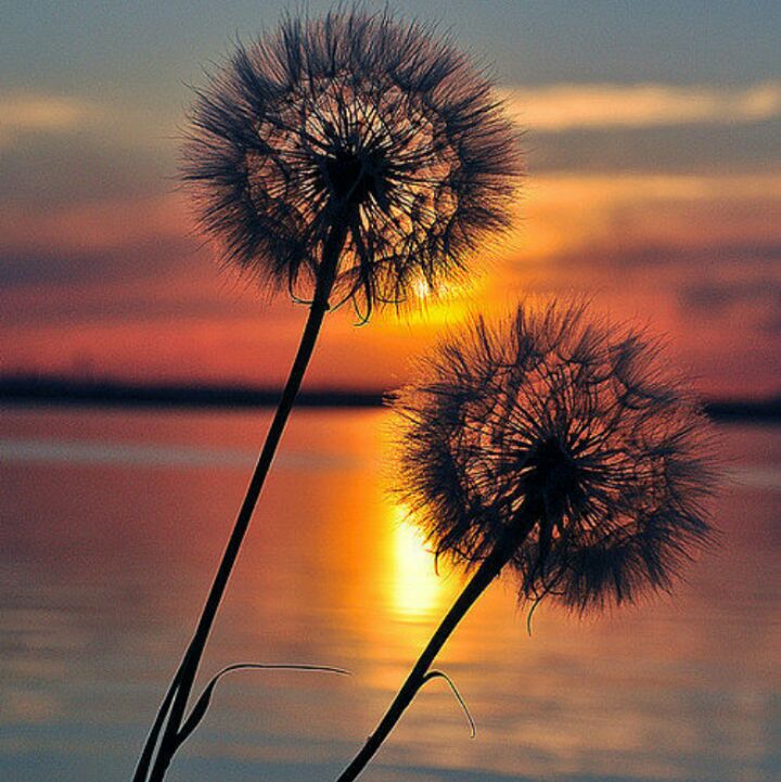 小仙女的麻麻咪