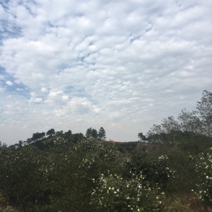 小五点雨点六点