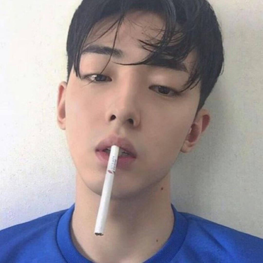 爱吃龙须鱼头的天天