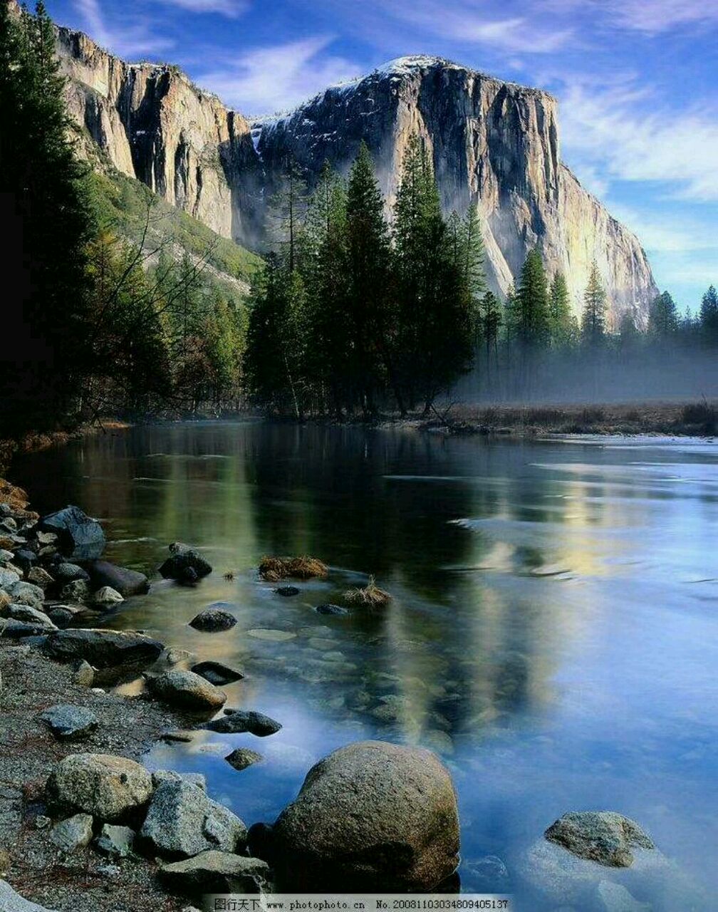 爱吃桑葚果汁的篮球