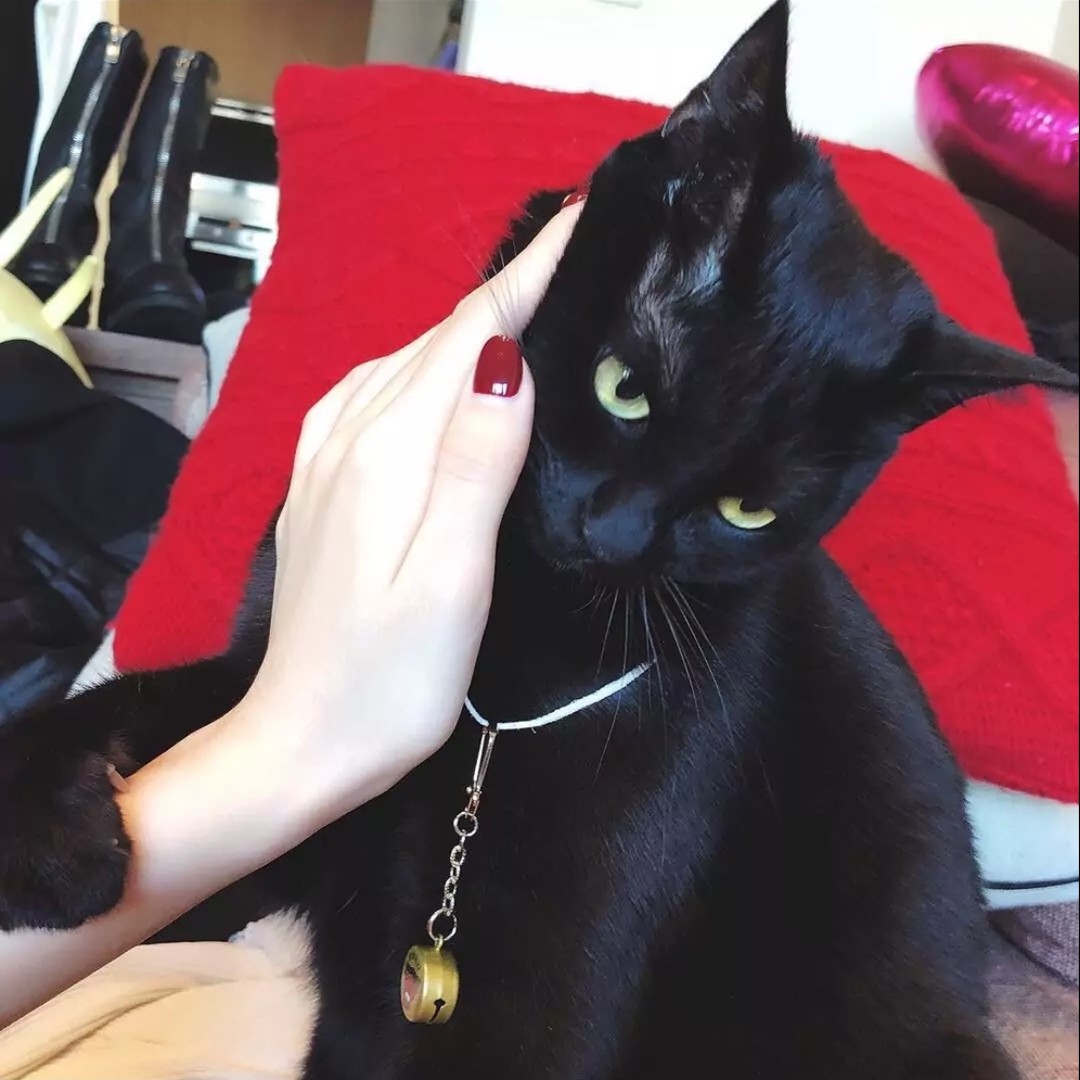 黑猫咪@