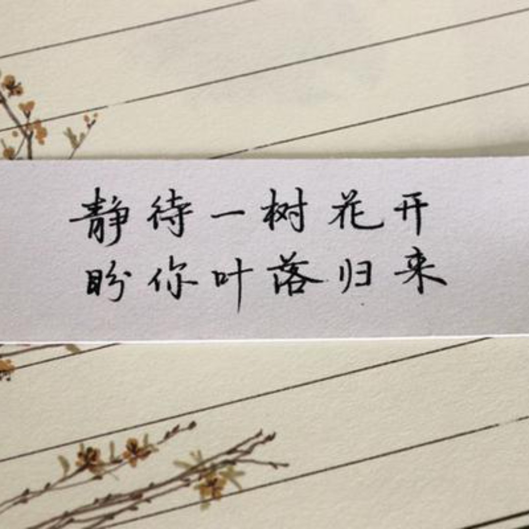 淡烟乔木\(≧▽≦)/