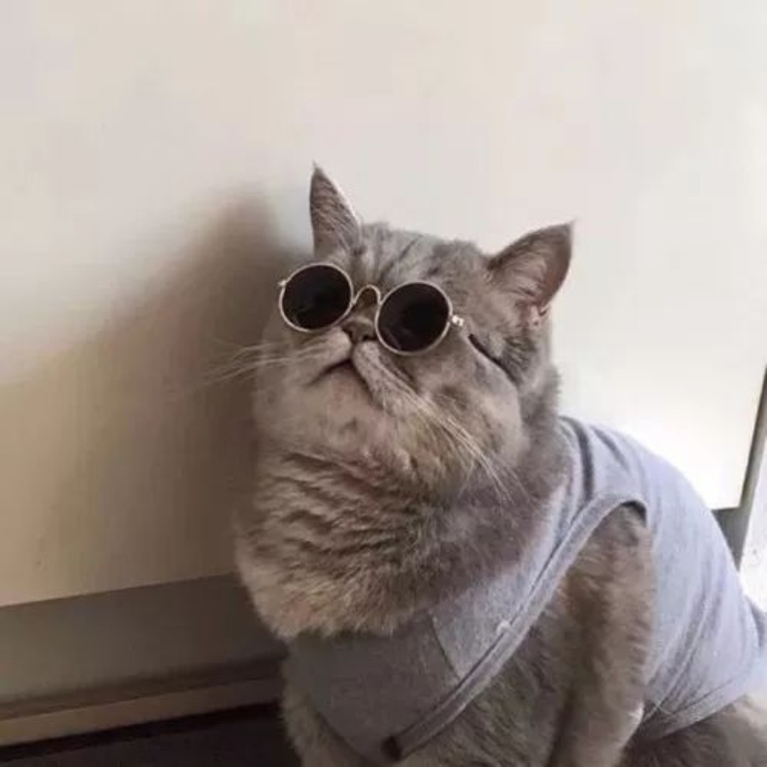 下一个冬天，，，