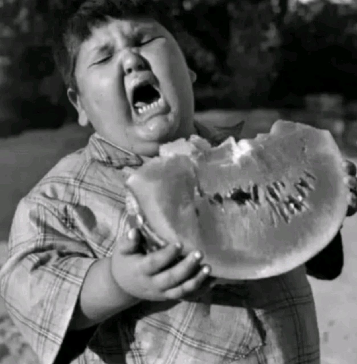 元朝小小的柿子