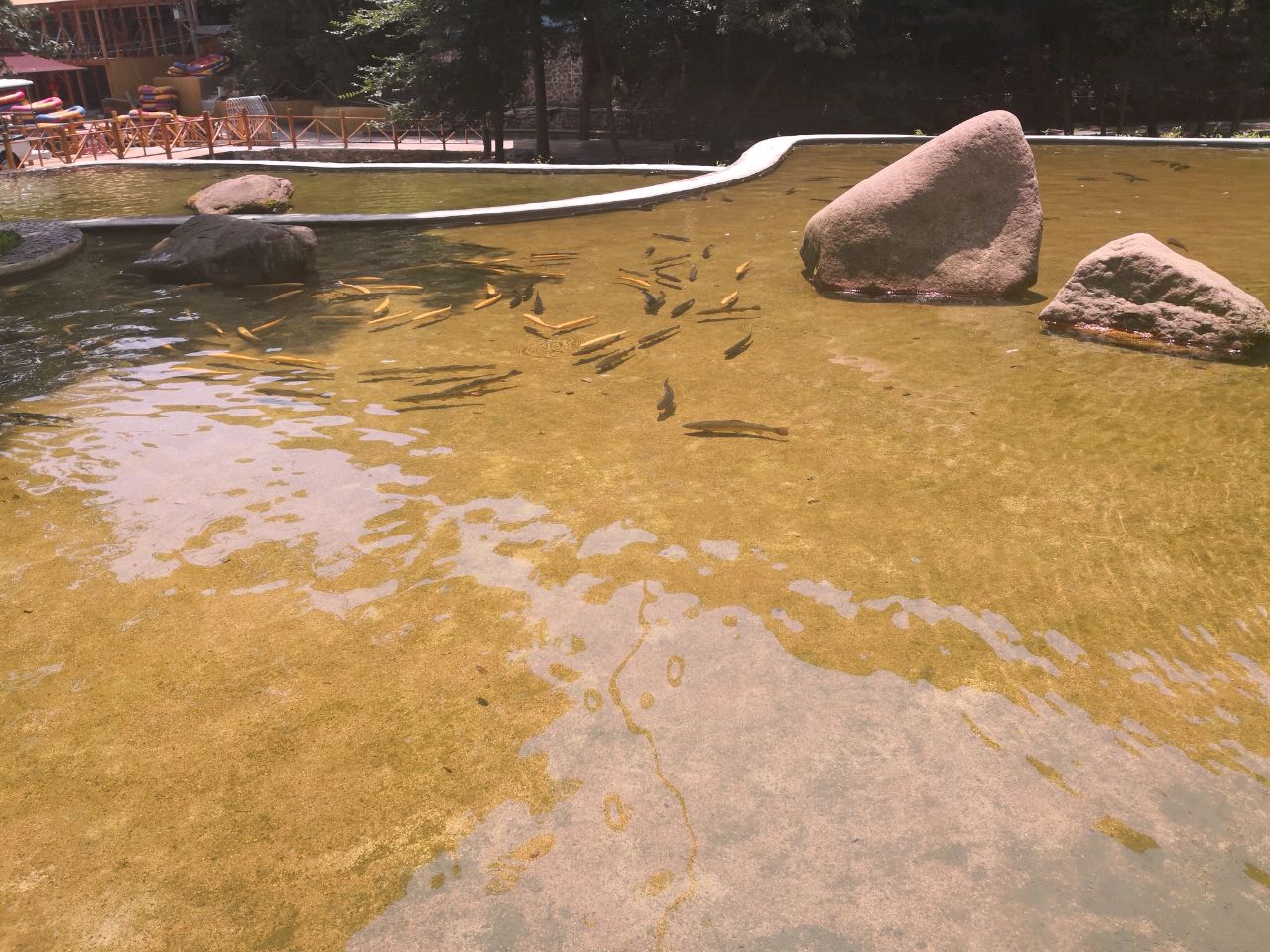 哼哼唧唧小胖墩