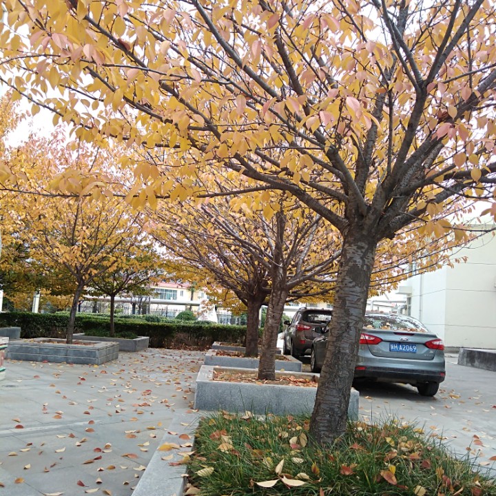 凝心聚力促发展