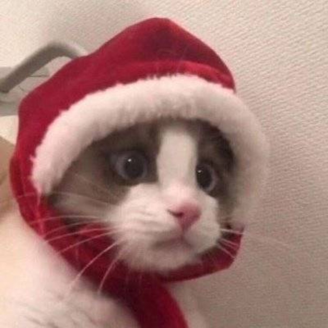 你别乱说我没买