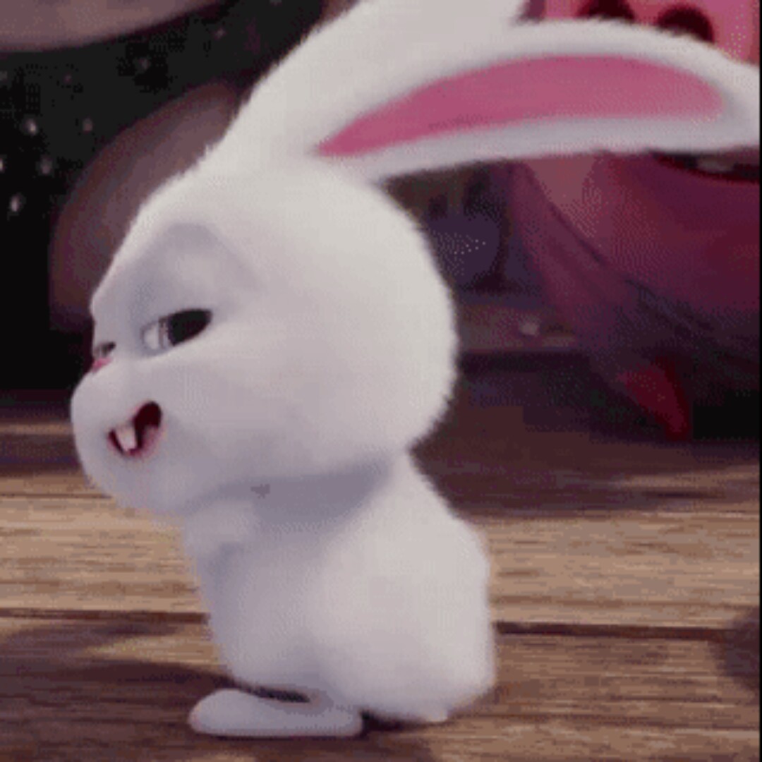 揣着明白装糊涂