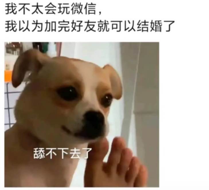 耶比小鱼