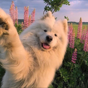 余额不足不足不