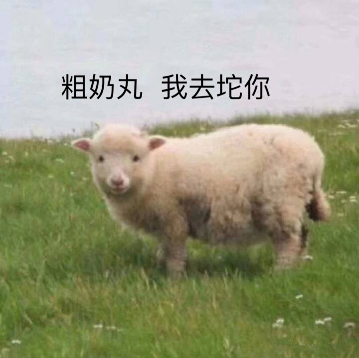 把我变成有钱人