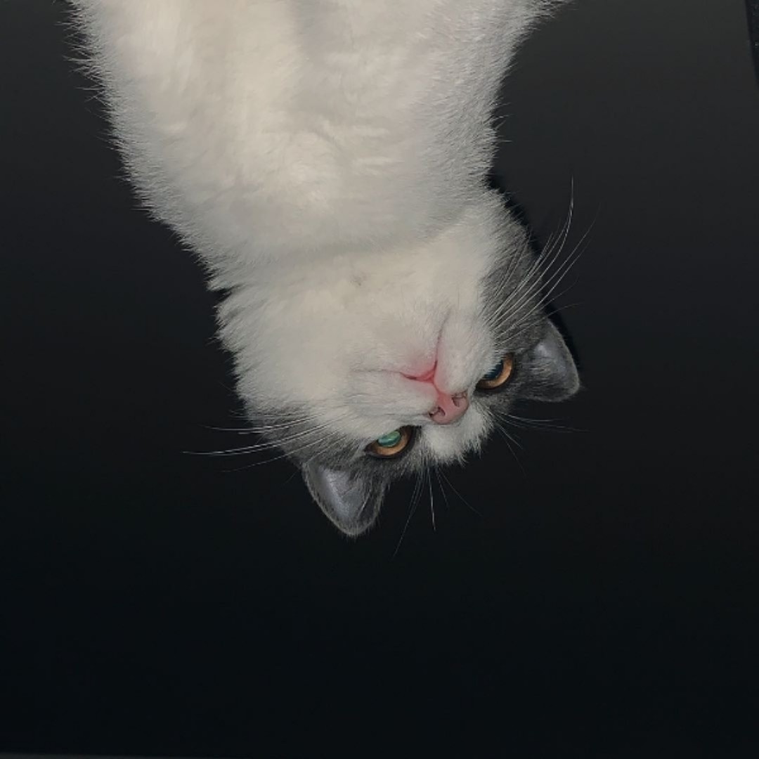 造梦大师琦琦子