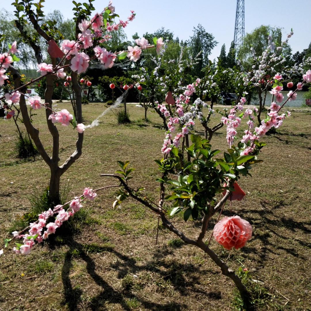 爱打扮(www.idaban.cn)，wang越努力越幸运