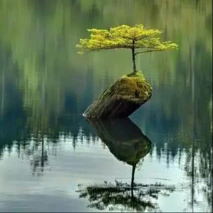 我们的歌谣～我们的梦