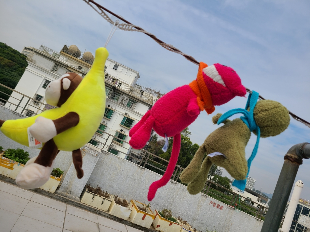 你在叫你妈呢叫叫叫