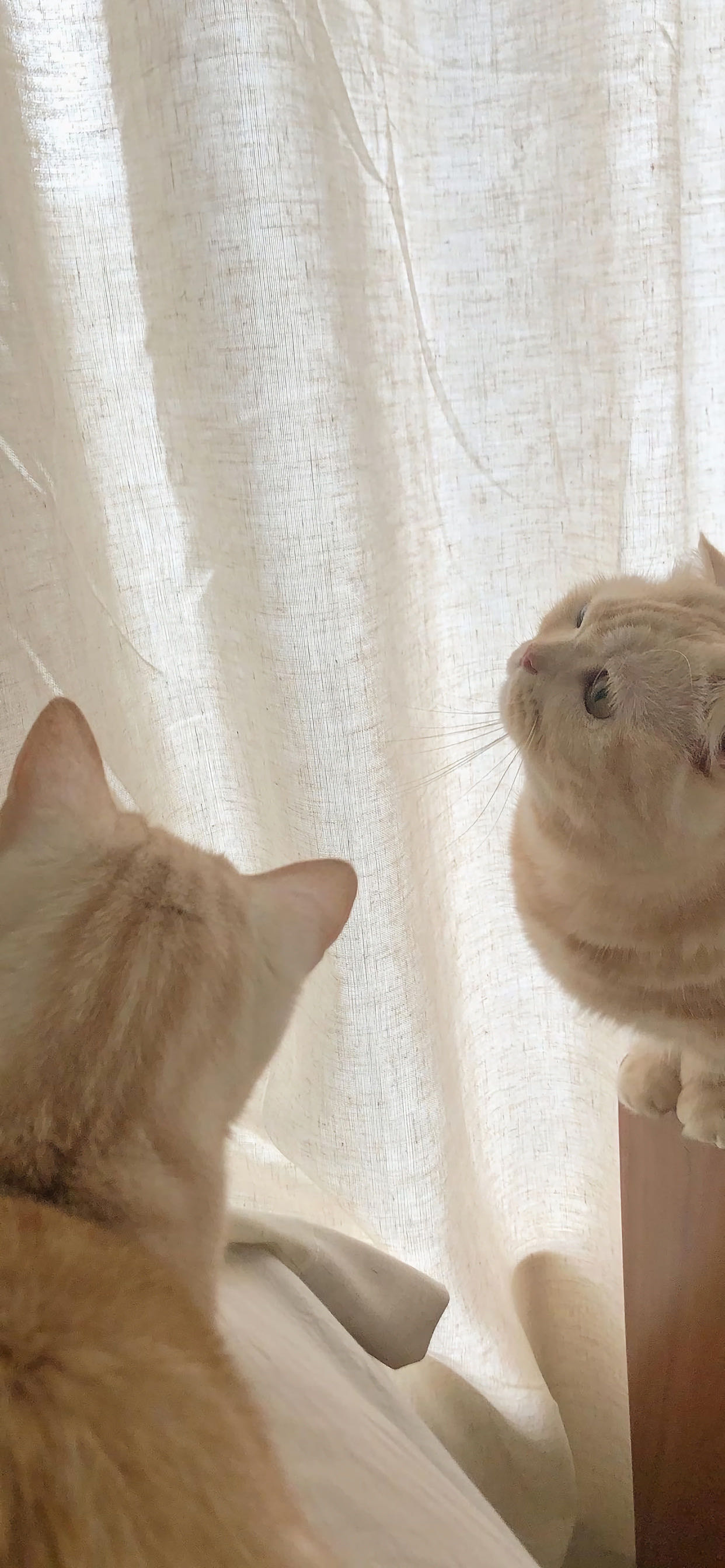 岳宫街典型的花卷