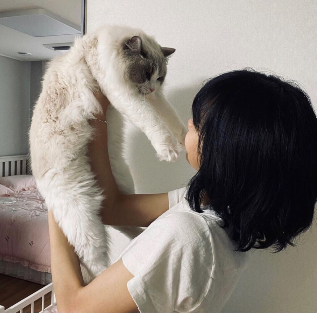 筑波宁静的鱼丸