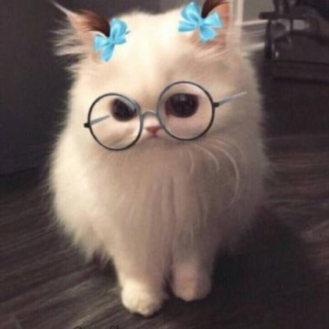 洛北笙箫凉城钰