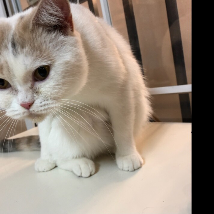 无限你怎么这么帅