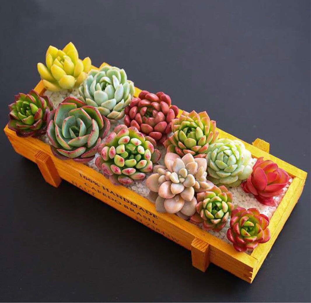 平庸的的生活拥抱你