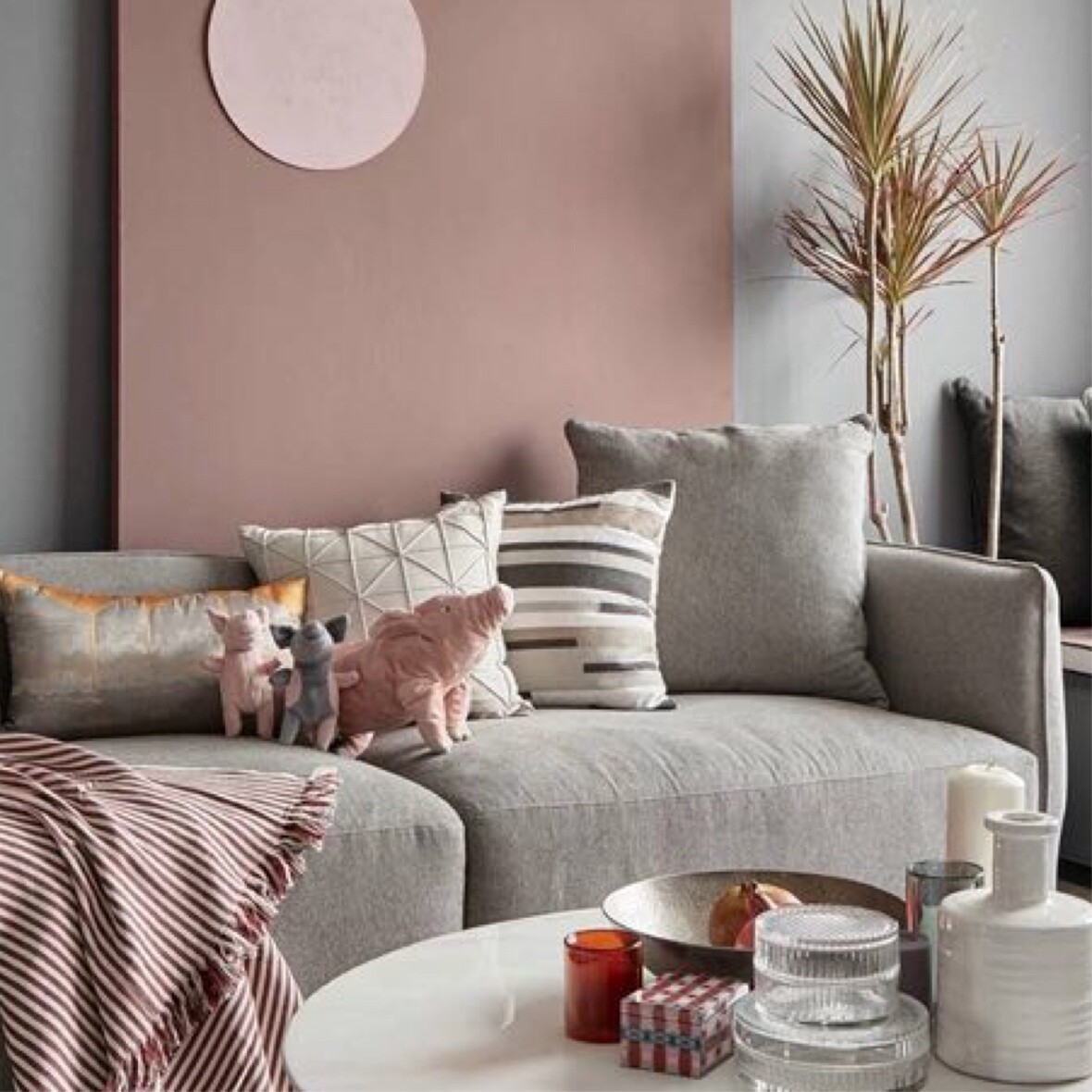 开水白菜回锅肉