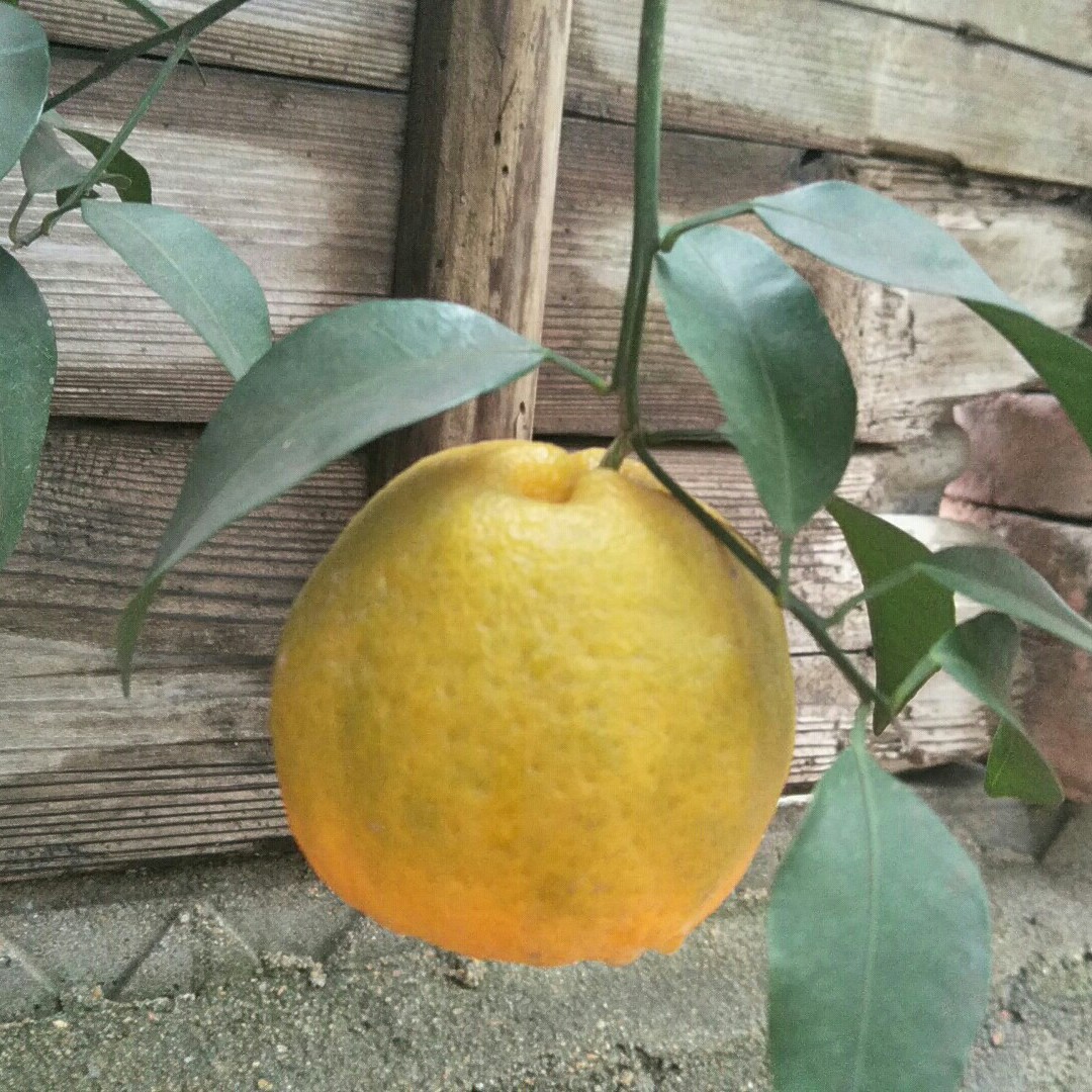 不要生气啦笑吧