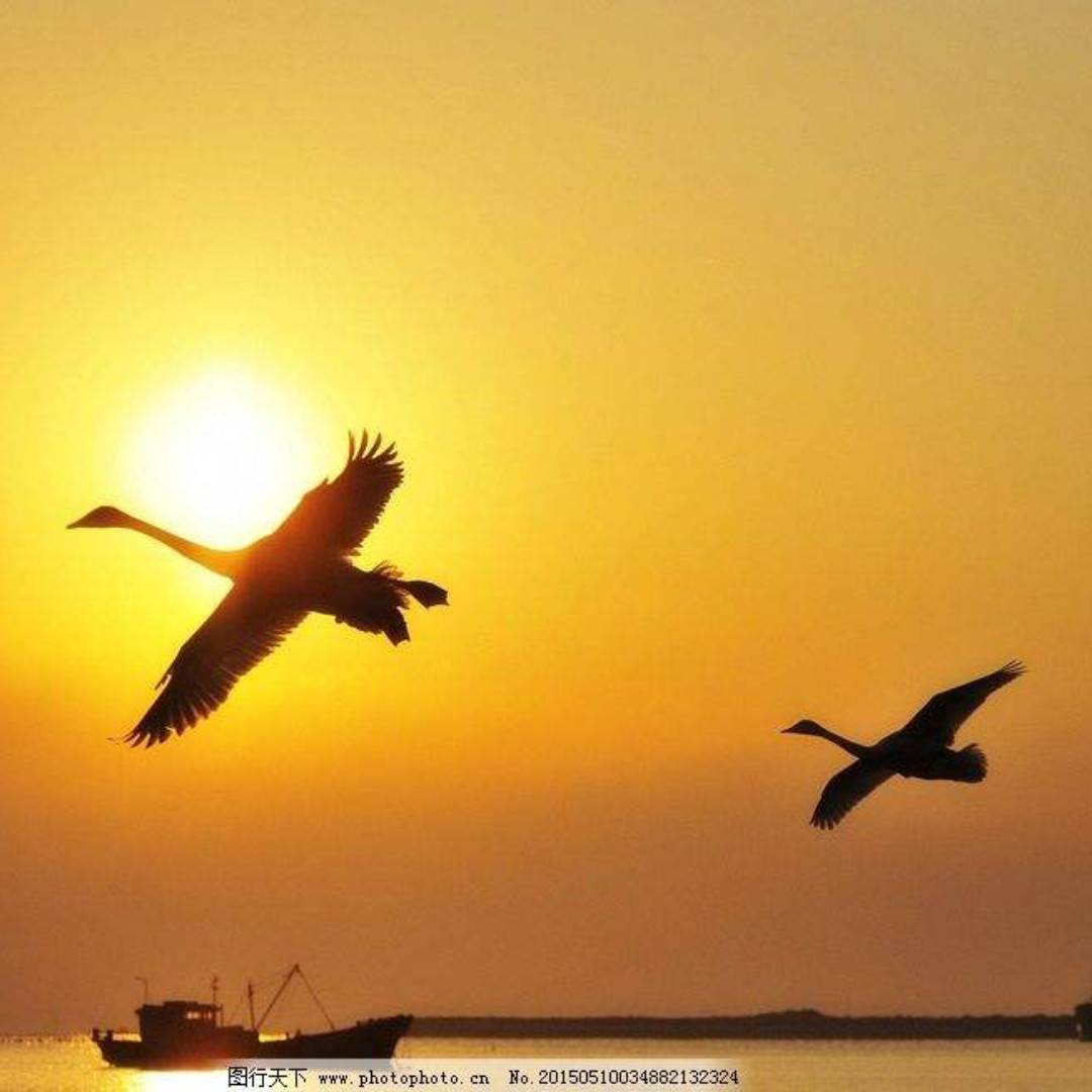 鲁闽联姻要快乐