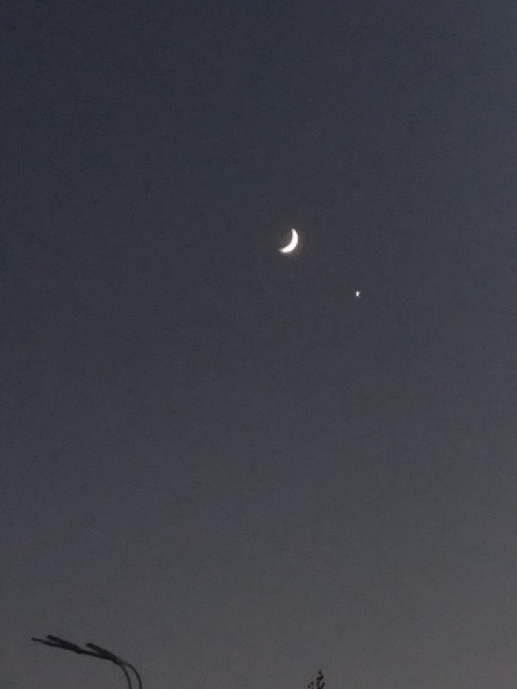 一个卖车的靓仔