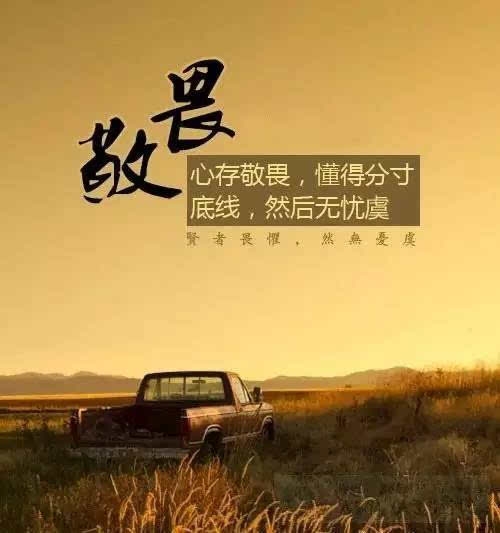 会计是吃货灵芝