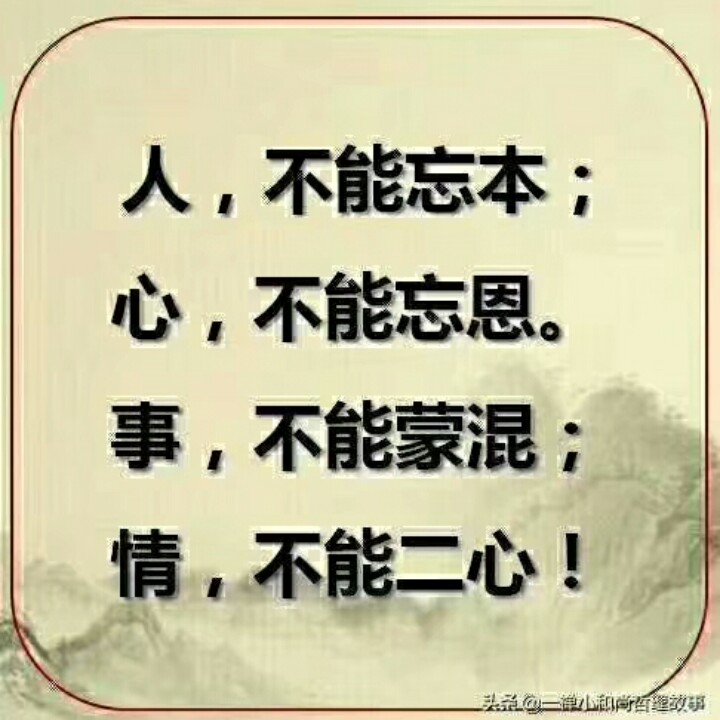 爱吃笋干肉片的梧桐树