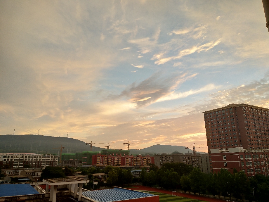 西欧榨菜收割机