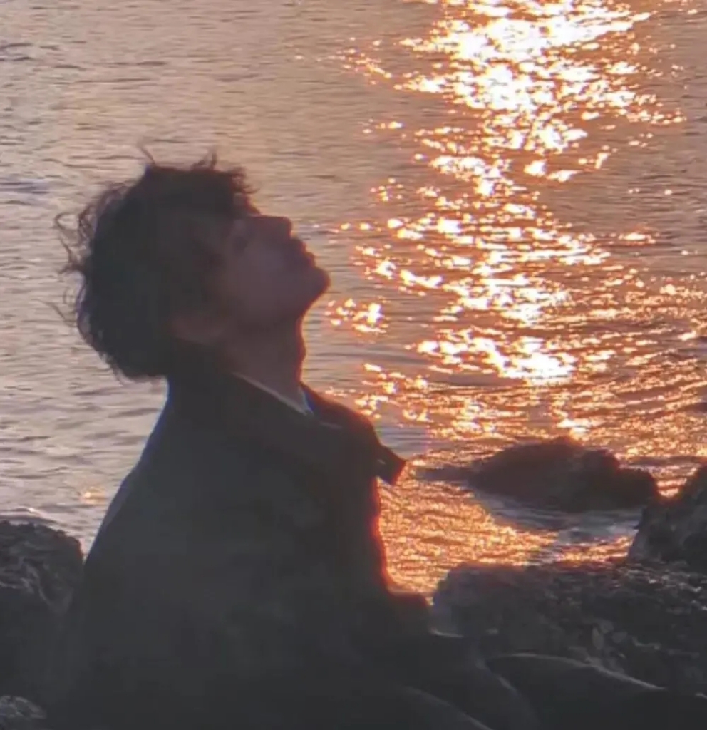 湖蓝的海人树科