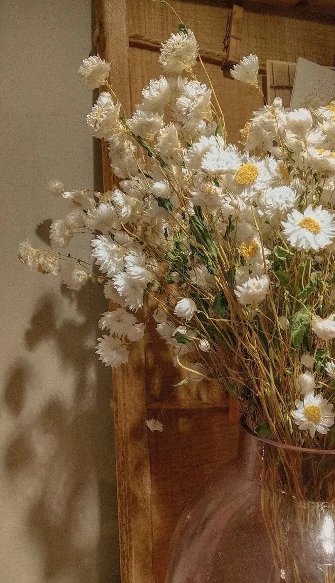 笨蛋那是夕阳123