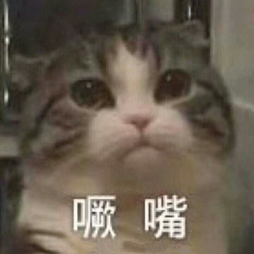 Kitty猫大王