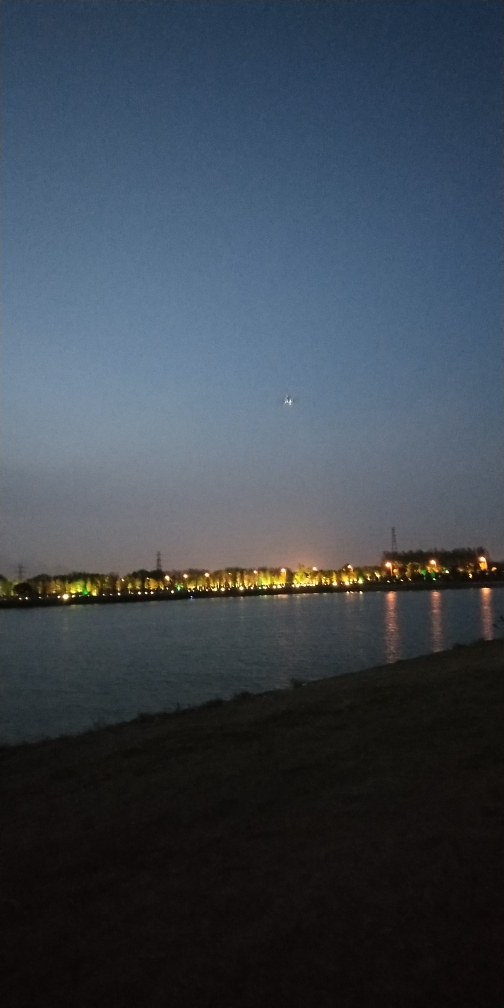 南方坚韧的紫薯