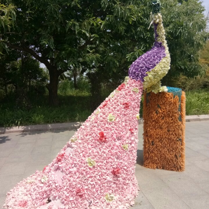 超级女侠飞呀飞