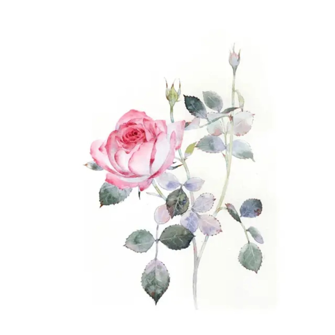 平凡安稳努力88