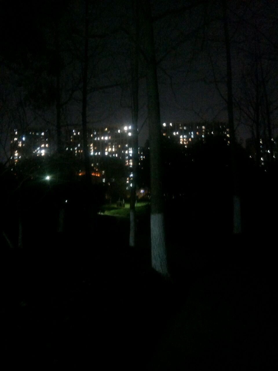 达芬奇爱吃鸡蛋